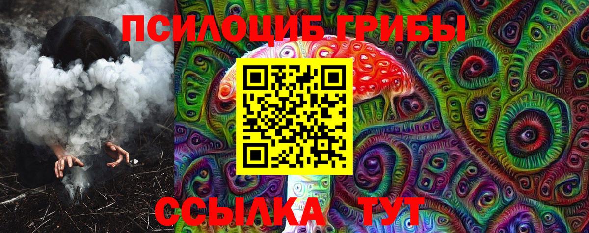 Галлюциногенные грибы Cubensis Тольятти