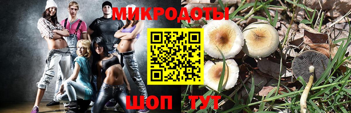 Псилоцибиновые грибы мицелий  Вход с VPN  Тольятти 